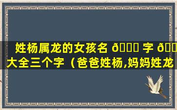 姓杨属龙的女孩名 🍀 字 🐈 大全三个字（爸爸姓杨,妈妈姓龙,宝宝取什么名字）